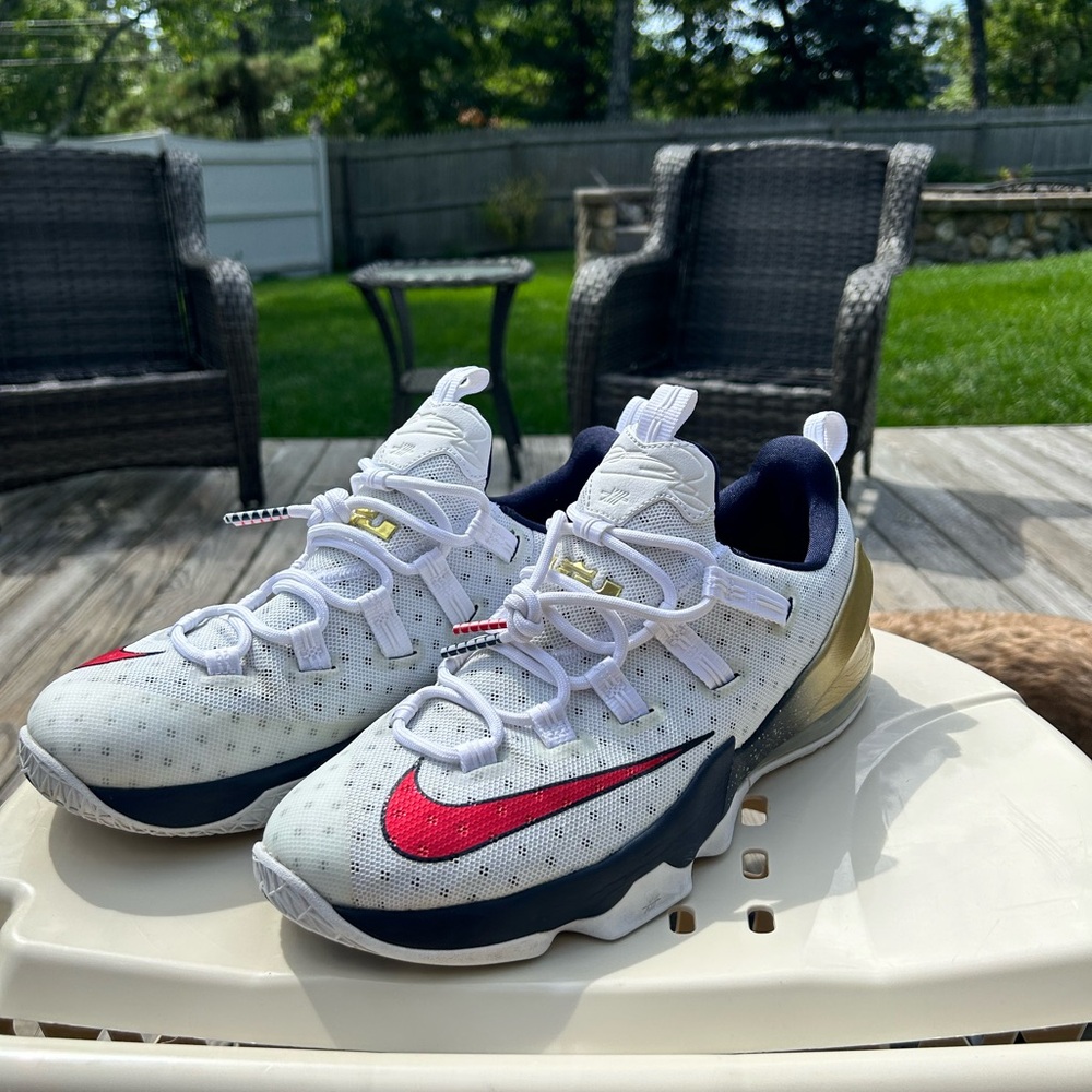 Nike LeBron 13 Low Olympic Shoes